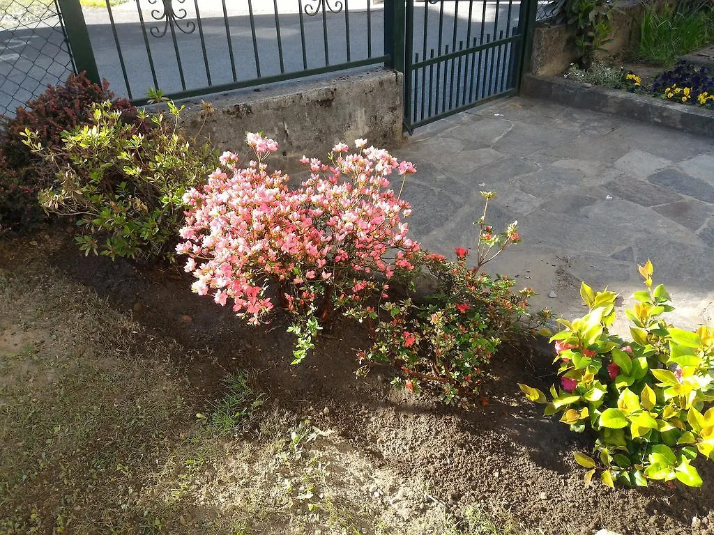 Apartment Valtellinaguesthouse Delebio Italy